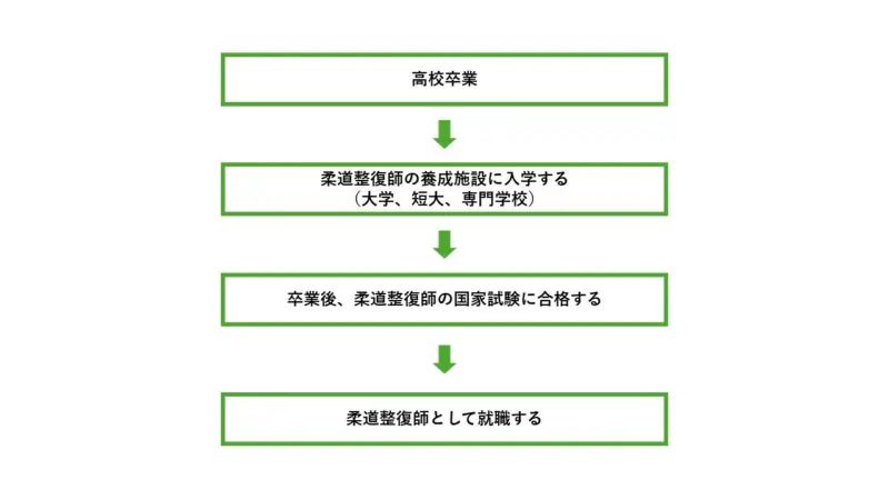 柔道整復師のロードマップ