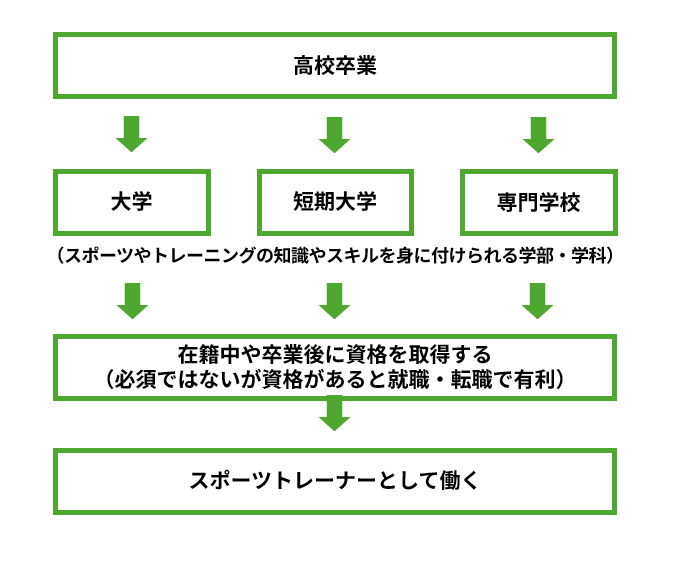 スポーツトレーナー ロードマップ