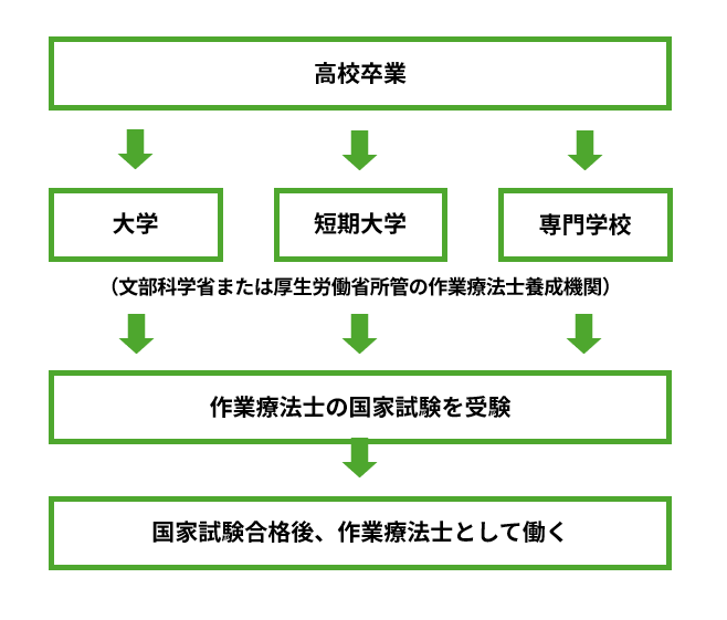 作業療法士 ロードマップ
