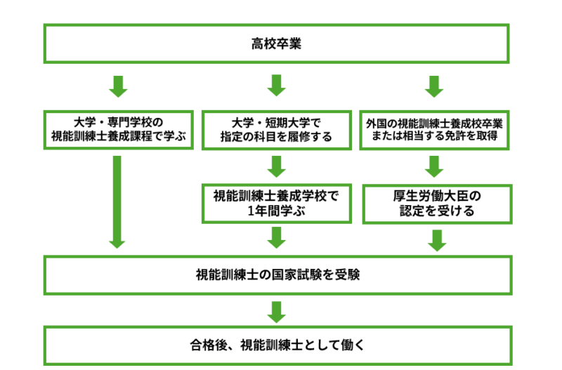視能訓練士 ロードマップ