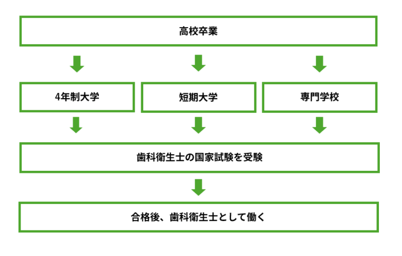 歯科衛生士 ロードマップ