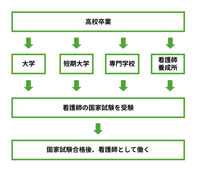 看護師 ロードマップ