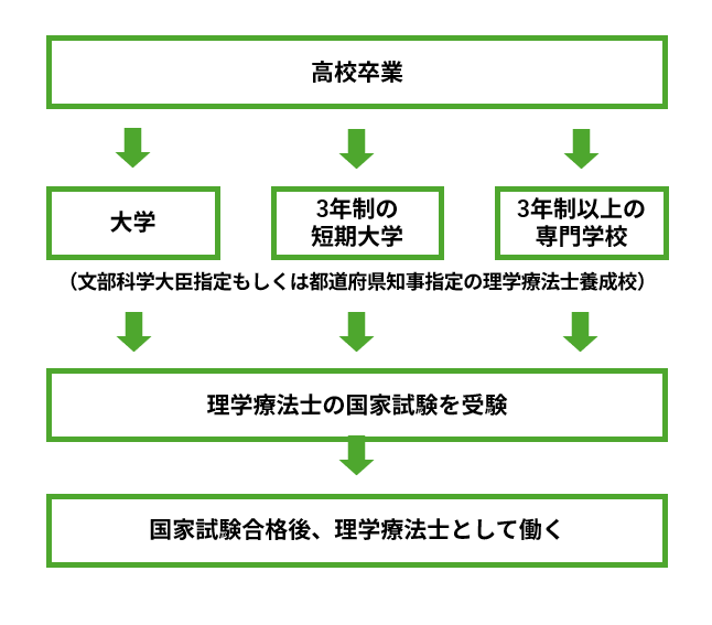 理学療法士 ロードマップ